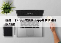 组建一个app开发团队（app开发项目团队介绍）