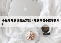 小程序开发收费及方案（开发微信小程序费用）