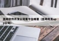 昆明软件开发公司集中在哪里（昆明开发app公司）