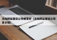 沈阳网站建设公司哪家好（沈阳网站建设公司多少钱）