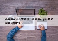 小程序app开发公司（小程序app开发公司如何推广）