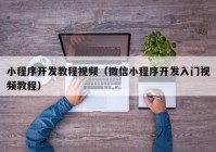 小程序开发教程视频（微信小程序开发入门视频教程）