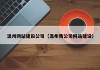 温州网站建设公司（温州新公司网站建设）