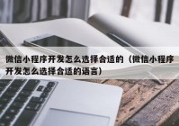 微信小程序开发怎么选择合适的（微信小程序开发怎么选择合适的语言）