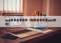 app开发自学软件（如何自学开发app软件）