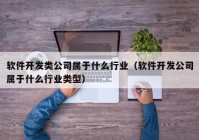 软件开发类公司属于什么行业（软件开发公司属于什么行业类型）