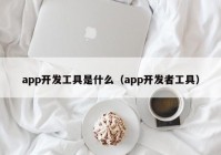 app开发工具是什么（app开发者工具）