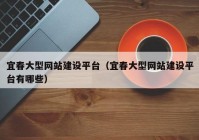 宜春大型网站建设平台（宜春大型网站建设平台有哪些）