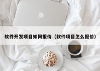 软件开发项目如何报价（软件项目怎么报价）