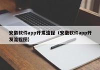 安徽软件app开发流程（安徽软件app开发流程图）