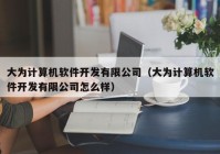 大为计算机软件开发有限公司（大为计算机软件开发有限公司怎么样）