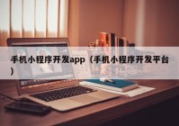 手机小程序开发app（手机小程序开发平台）