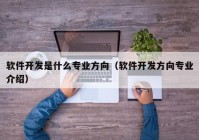 软件开发是什么专业方向（软件开发方向专业介绍）