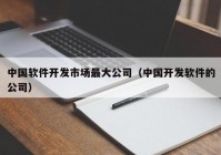 中国软件开发市场最大公司（中国开发软件的公司）