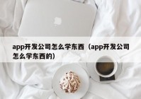 app开发公司怎么学东西（app开发公司怎么学东西的）