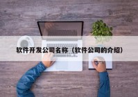 软件开发公司名称（软件公司的介绍）