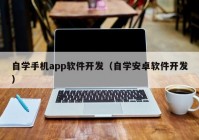 自学手机app软件开发（自学安卓软件开发）