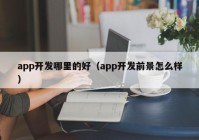 app开发哪里的好（app开发前景怎么样）