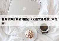 昆明软件开发公司推荐（云南软件开发公司推荐）