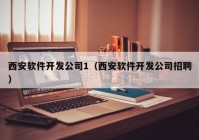 西安软件开发公司1（西安软件开发公司招聘）