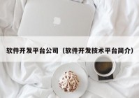 软件开发平台公司（软件开发技术平台简介）