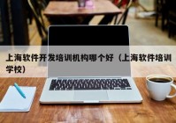 上海软件开发培训机构哪个好（上海软件培训学校）