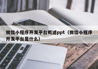 微信小程序开发平台概述ppt（微信小程序开发平台是什么）