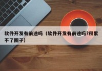 软件开发有前途吗（软件开发有前途吗?积累不了圈子）