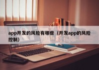 app开发的风险有哪些（开发app的风险控制）