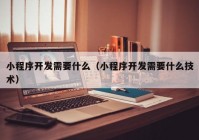 小程序开发需要什么（小程序开发需要什么技术）